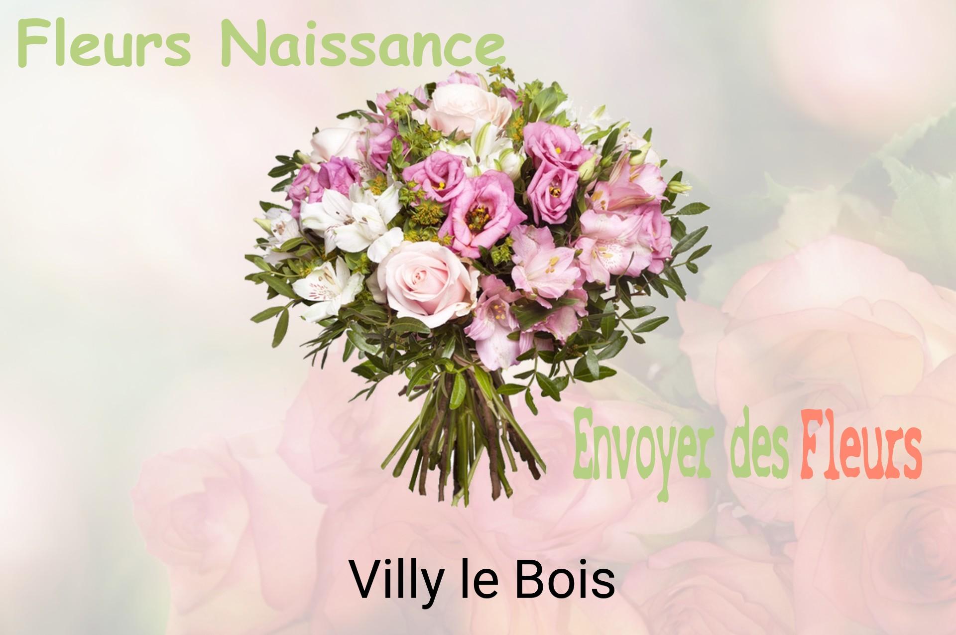 Bouquet de fleurs de naissance livré à Villy-le-Bois